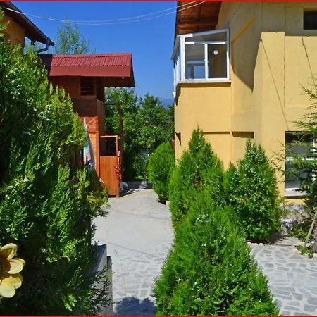 Pensionat Elena *
